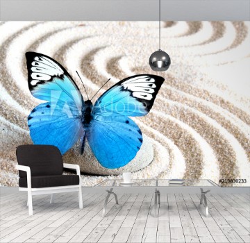 Image de Sand blue butterfly and spa stone in zen garden